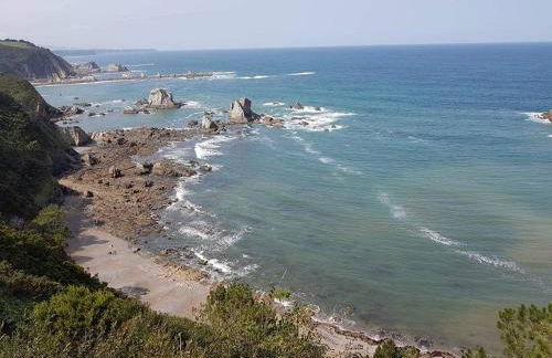 La Casita de Tití - Photo 33