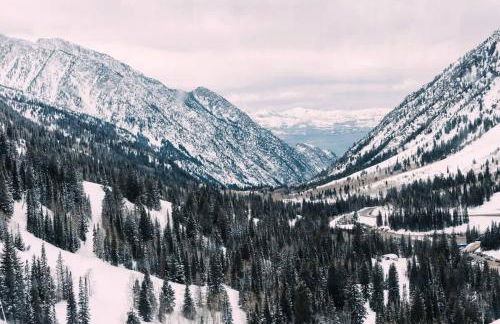 Union Spruces in Salt Lake with Hot Tub and Foosball - Foto 45