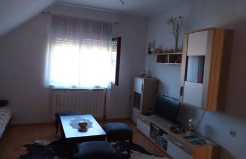 Apartman Skender 3* Ravna Gora - Foto 26