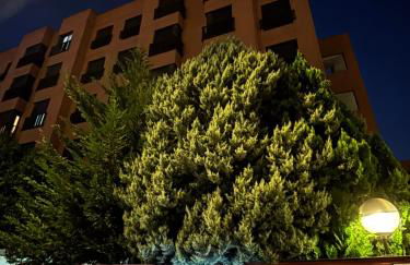 Luxury Apartment near Madrid, Airport, IFEMA, City Center - Photo 19