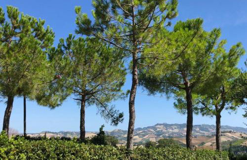 Casale Fonte delle Pietre - Foto 39