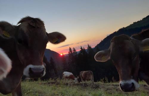 Ferienhaus Rasch - Foto 26