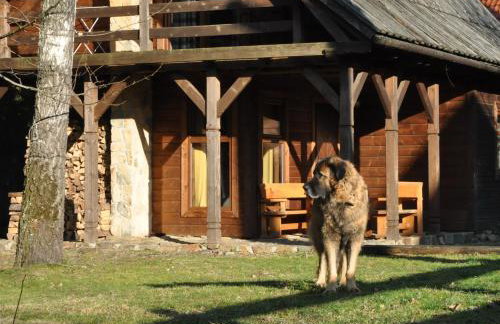 Domek wakacyjny Koliba - Foto 13