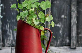 Agroturystyka Akacjowe Zacisze - Foto 23