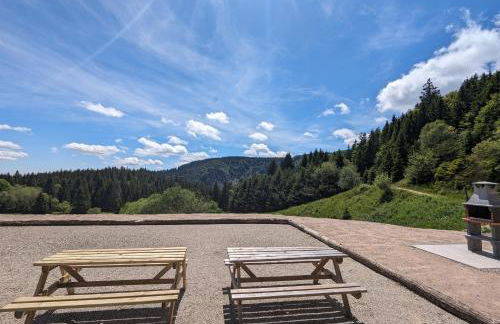 Là-haut au Lacblanc, 3 pièces, 2 chambres, balcon, cave - Foto 12