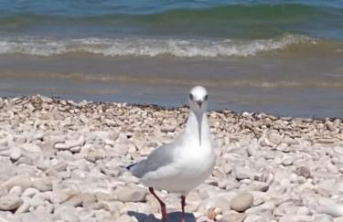 Pescara INN al Golf - Jack Nicklaus - Foto 30