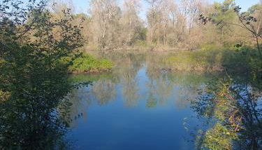 ReBeeApartments - apt 1 - Foto 4