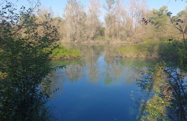 ReBeeApartments - apt 1 - Foto 4