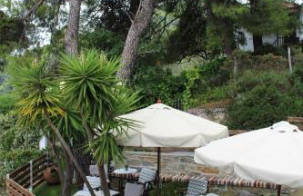 The Pine Trees - Foto 36