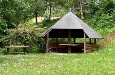 Aparthotel Tannenhof - Foto 67