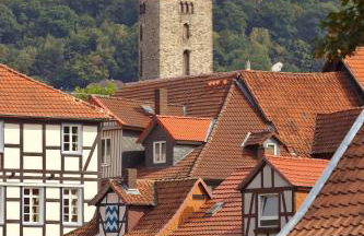 Froschkönig mit Teichblick - Photo 36