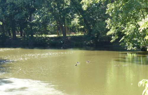 Ferienwohnung mit Brockenblick - Foto 41