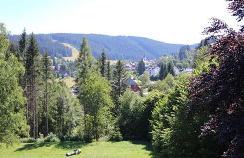 Two apartments in one house - Ferienhaus Matz - Foto 27