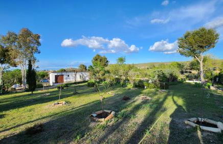 Agroturismo Viña Inés Toledo - Photo 43