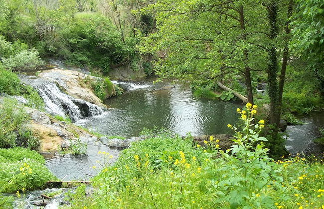 Beautiful Villa in Maremma - Foto 10