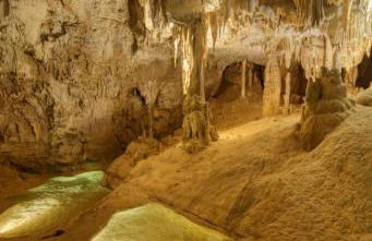 la champagnolaise - Foto 28