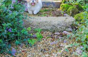 Blackberry Loft - a Hidden Gem - Foto 39