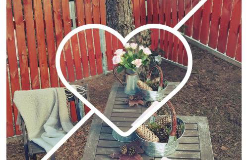 sosnowelowe - Foto 40