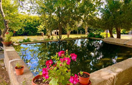 Quinta da Cumieira - Foto 50