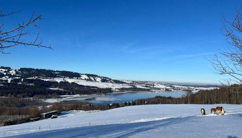 Schads Bergheimat - Foto 3