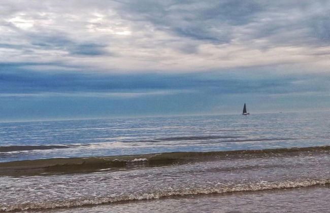 Sunny Escape by the Shore - Photo 26