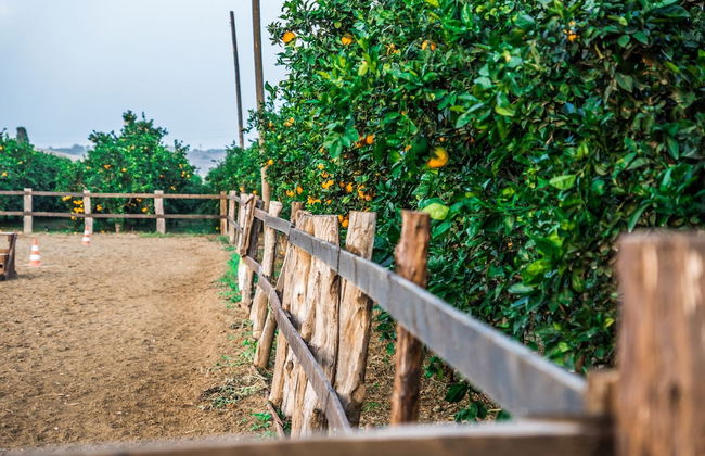 Il Giardino del sole - Foto 21