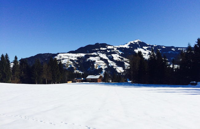 Farmhouse in Hopfgarten Near Skiwelt - Foto 33