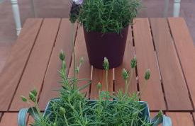 L'hotelet 16 Rural loft - Foto 1