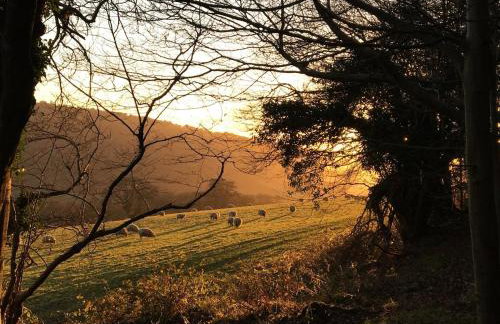 Underdean Lodge - Foto 19