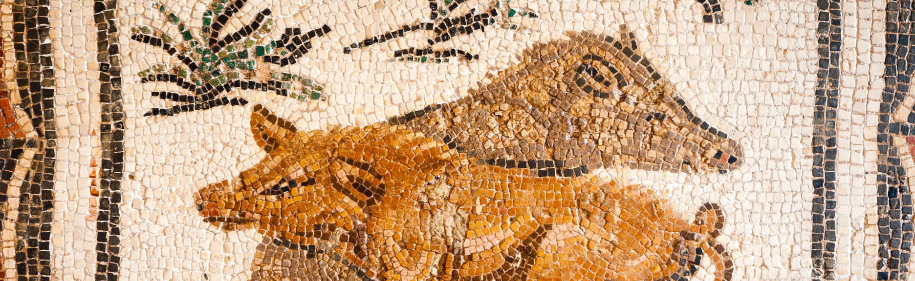 Tour pelo Museu do Bardo e pela Medina de Túnis