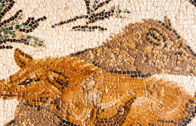 Tour por el Museo del Bardo y la Medina de Túnez - Foto 1