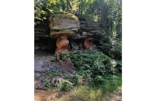 Holiday home Korn am Bärensteig - Foto 35