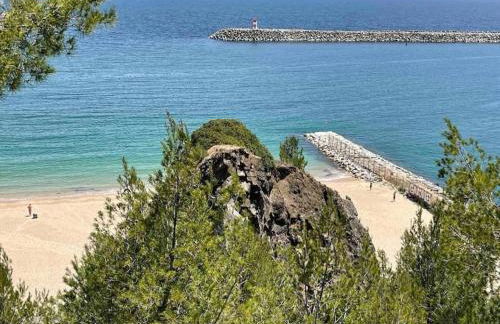 Acqua Marine - Foto 39