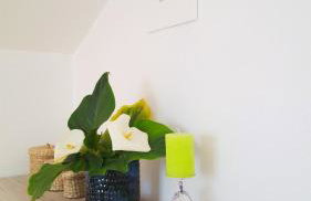 Apartment Jaz - Foto 16