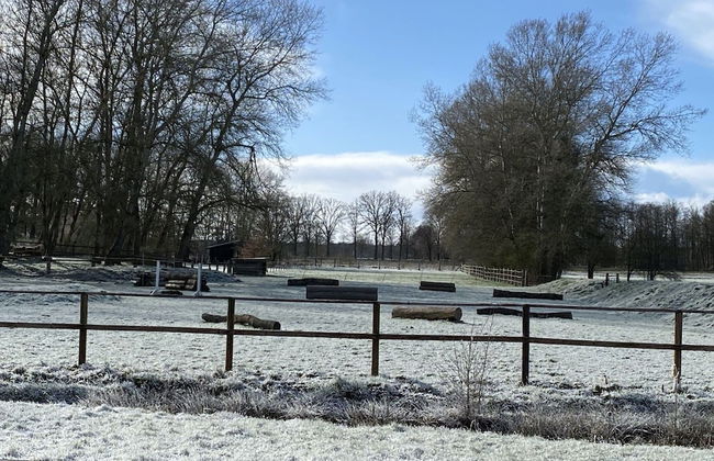 Gemutliche Unterkunft in Eschede - Foto 29