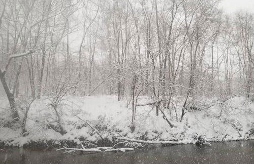 luxury Dear Tryon Cabin by TIEC in Green River Highlands - Foto 37