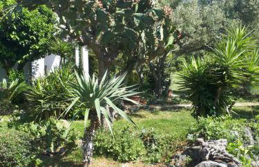 Apartments Makaus - Photo 11