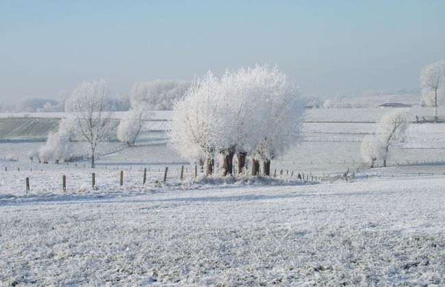 Comfortable Home With Sauna - Foto 43