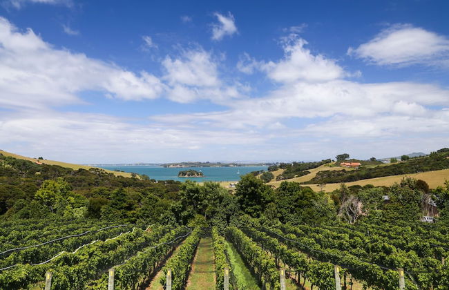 The Little Blue Bach in Oneroa Village - Foto 12