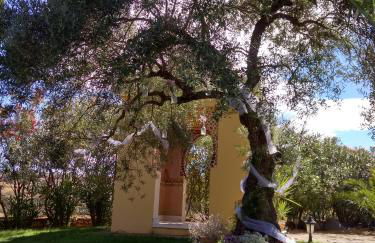 Andalusian experience - Foto 58