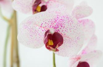 Soulmade Residence - Foto 75