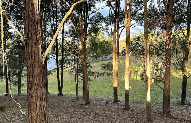 Blueberry Hills on Comleroy - Photo 53