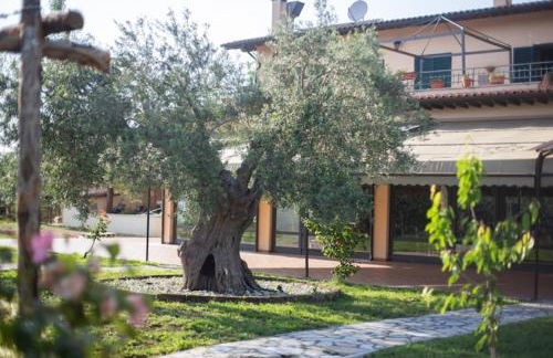 Agriturismo La Terrazza su Farfa - Foto 14