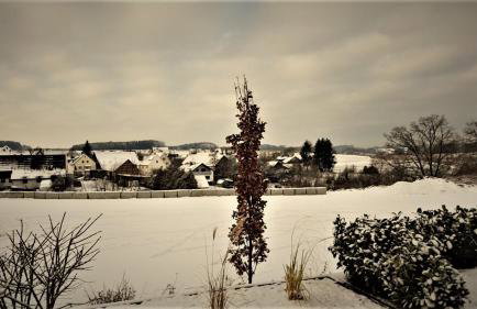 L-Appartements - Foto 65