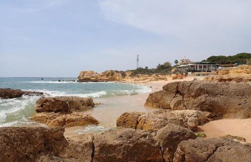 Casa Palmeria , Quinta da Saudade - Foto 29