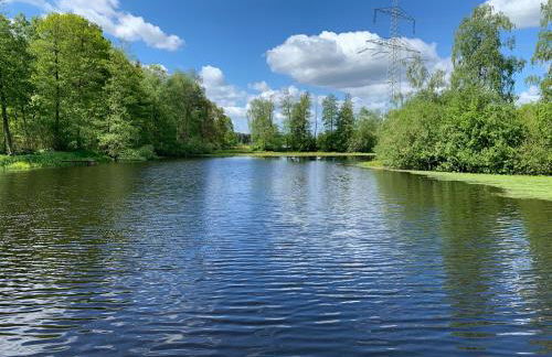 Wassermühle Habighorst - Foto 38