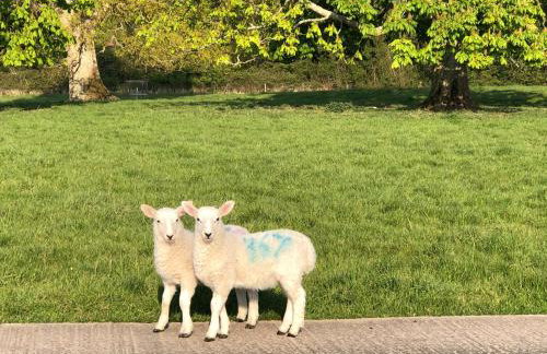 Bittles Cottage - Photo 26