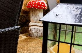 Casita en la Sierra - Foto 7