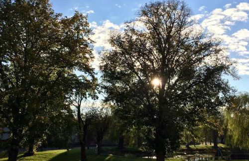 Erholen im Kranichhof, Garten, Sauna - Nähe Heide - Foto 5