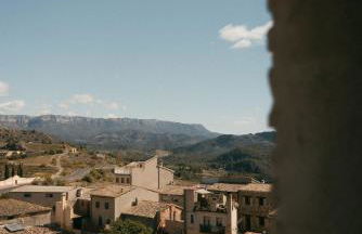 Fam de Vida - Foto 10